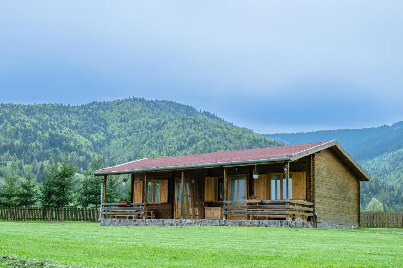 Biotour Camping & Restaurant Ghimes-Faget ภายนอก รูปภาพ