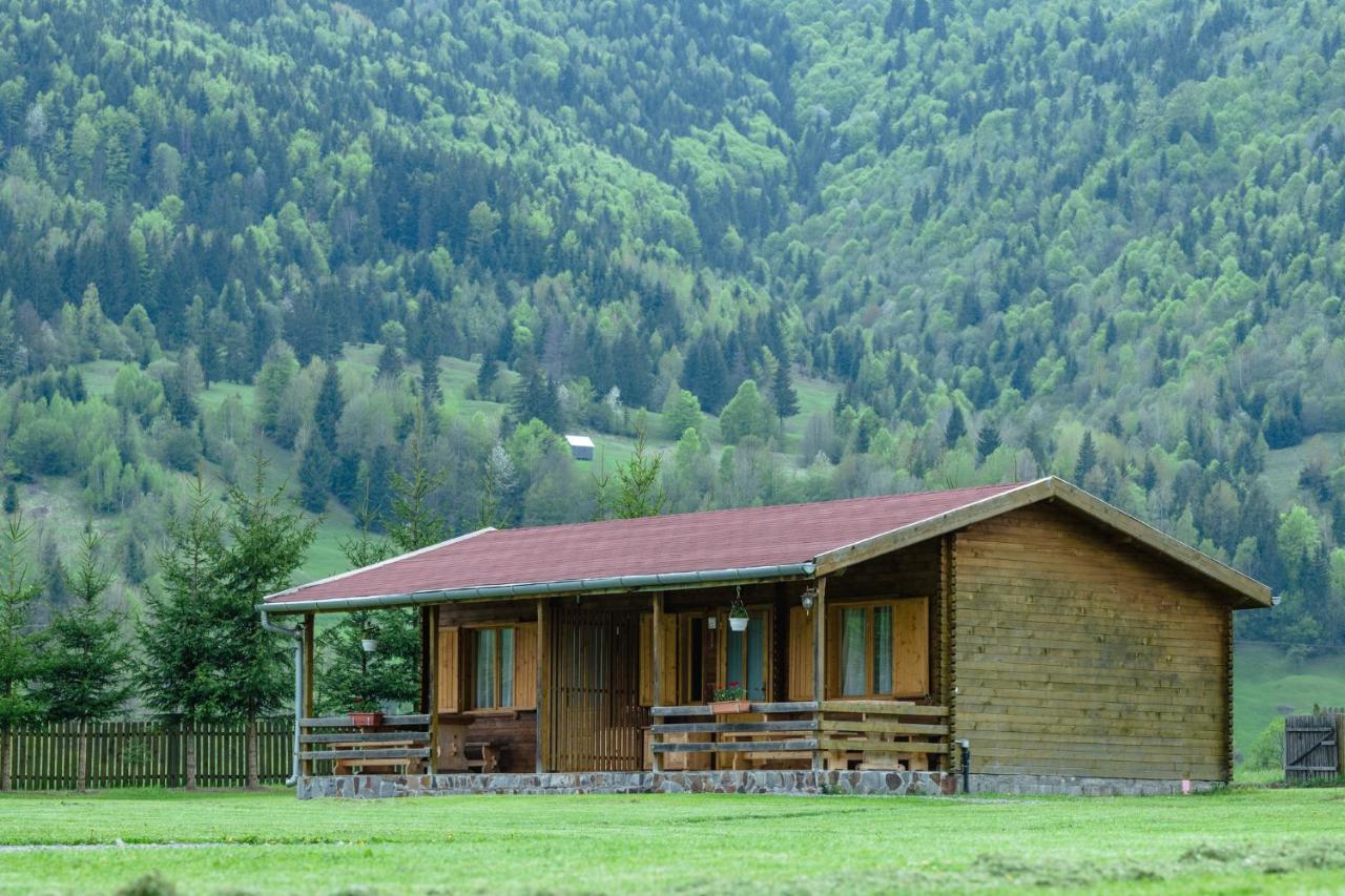 Biotour Camping & Restaurant Ghimes-Faget ภายนอก รูปภาพ